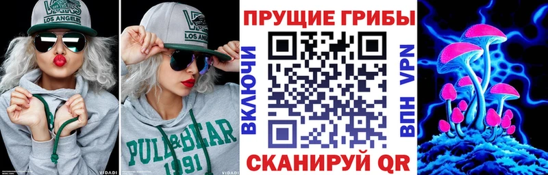 купить закладку  Долгопрудный  Галлюциногенные грибы прущие грибы 