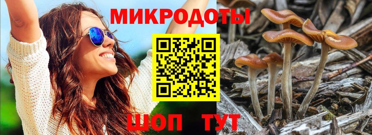 Долгопрудный  Псилоцибиновые грибы Psilocybe  Вход с VPN 