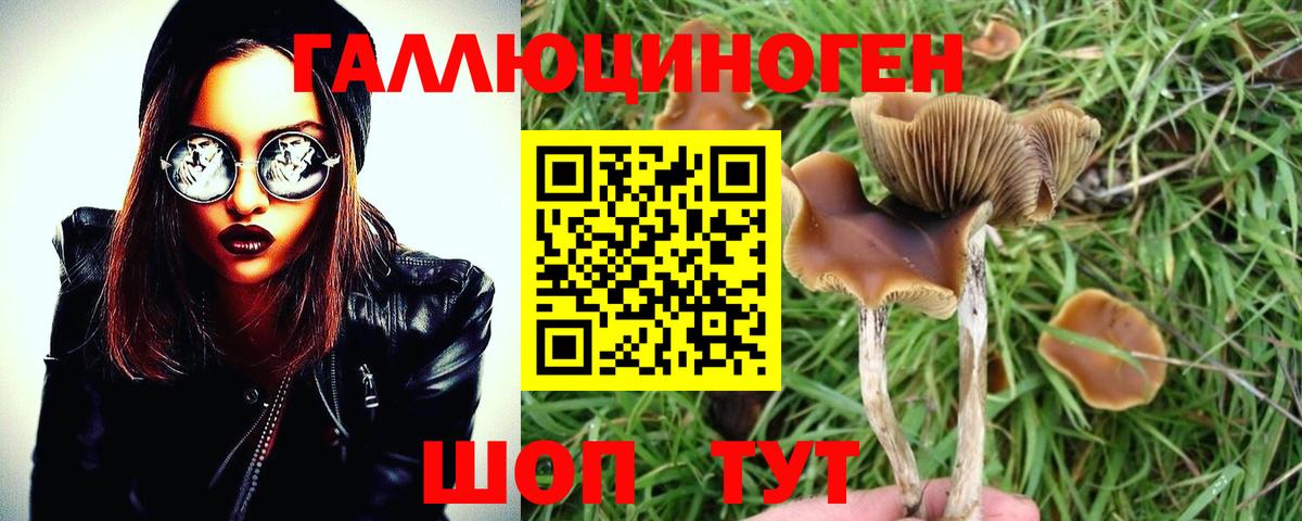 Псилоцибиновые грибы ЛСД Долгопрудный