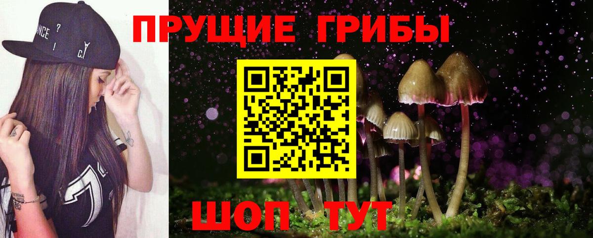 Псилоцибиновые грибы мухоморы  Долгопрудный  Псилоцибиновые грибы Cubensis 