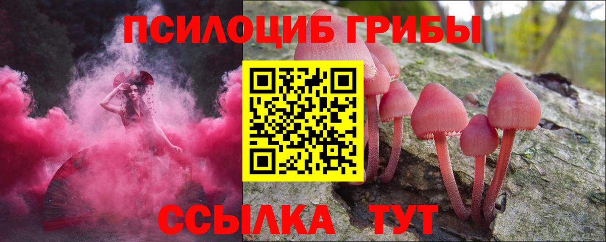 Псилоцибиновые грибы Psilocybe Долгопрудный